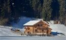 A cozy wooden house in the snow, surrounded by green trees. The clear sky makes the winter landscape shine.