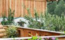 Ein traditionelles Holzhaus mit einem gepflegten Balkon. Im Vordergrund blühen lila Blumen, während im Hintergrund Bäume und Berge sichtbar sind.