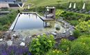 Ein schöner Garten mit einem klaren Badebecken und bunten Blumen. Im Hintergrund sind Liegen und sanfte Hügel zu sehen.