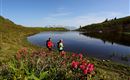 paarseen-sommer-wanderer