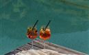 Zwei Cocktails stehen auf einem Tisch neben einem offenen Buch. Im Hintergrund spiegelt sich das klare Wasser eines Teichs.