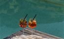 Two cocktails are on a wooden table next to an open book. In the background, the clear turquoise water is reflected.