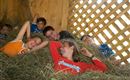 Sleeping in the hay