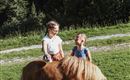 Two girls are standing in a meadow and smiling at each other. Next to them stands a small pony.