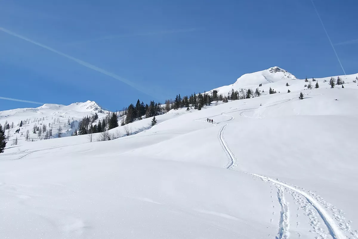 Hüttschlag: Plattenkogel, 2.273 m