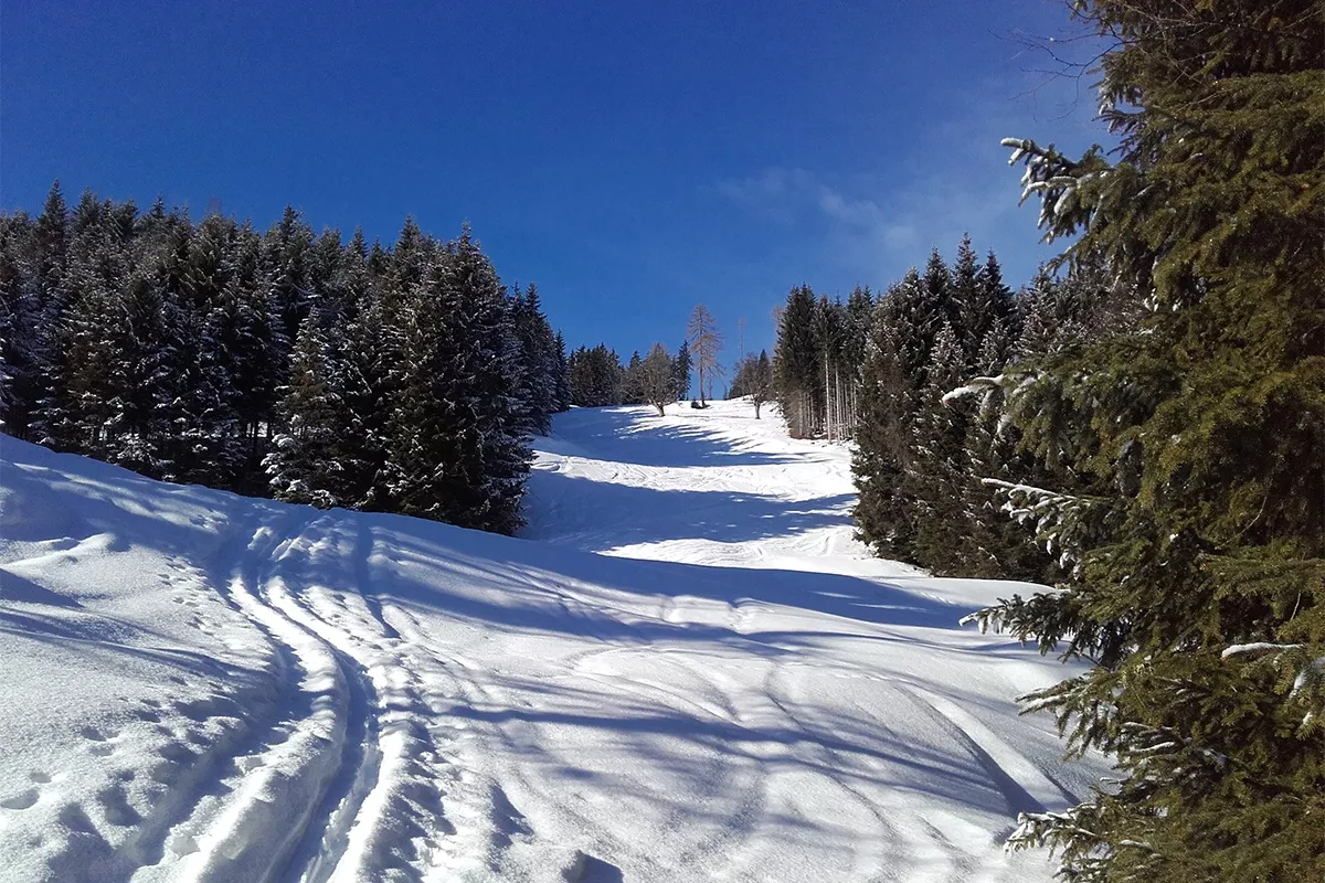 Großarl: Bergstation Panoramabahn, 1.840 m über Hubwald