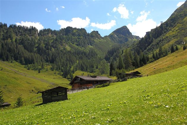 Aigenalm-Mandlhütte, 1.342 m