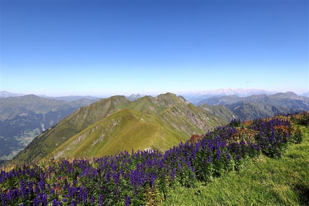Bergpanorama Frauenkogel