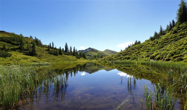 Blick auf das Gründegg