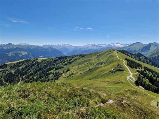 Blick auf den Kreuzkogel