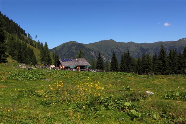 Hirschgrubenalm, 1.564 m