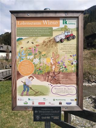 Landwirtschaftlicher Themenweg in Großarl