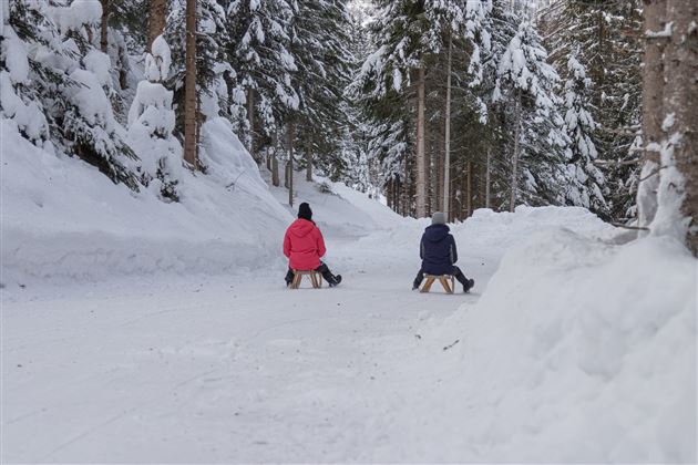 Rodeln im  Großarltal