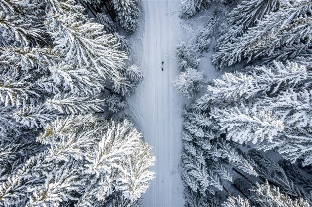 Schlittenfahren im Großarltal