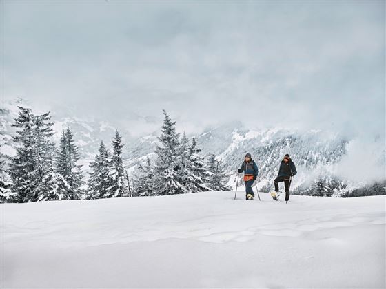 Schneeschuhwandern im Großarltal