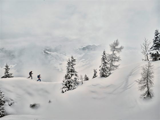 Schneeschuhwanderung im Großarltal