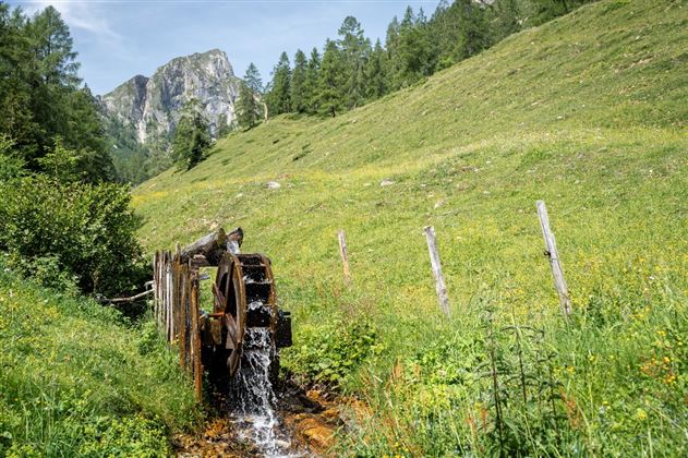 Wasserrad auf der Niggeltalalm