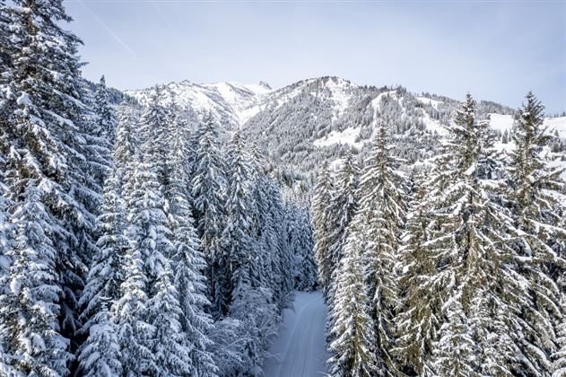 Winterwandern im Großarltal