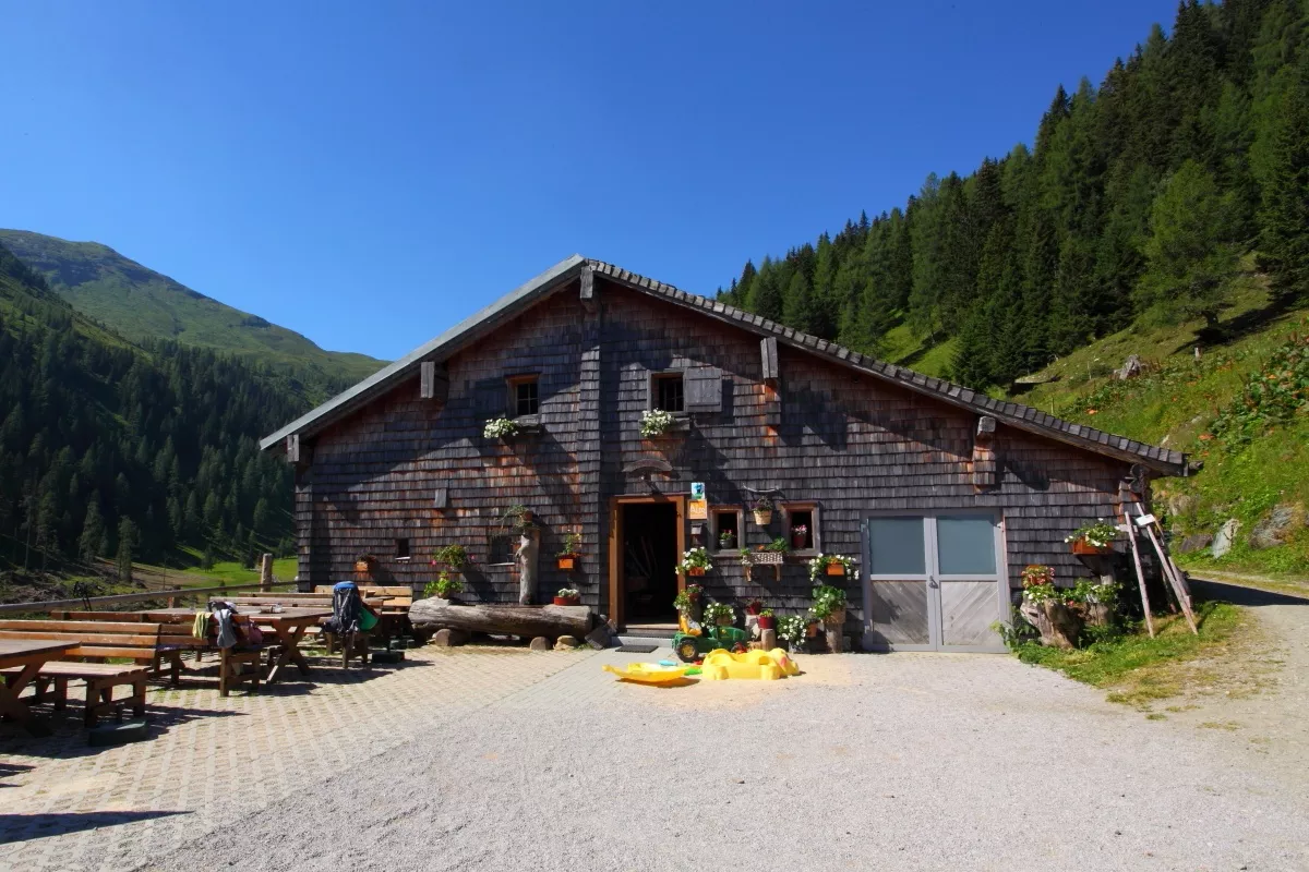 Hüttschlag: Harbachalm - Gamskarkogel - Frauenkogel - Aigenalmen