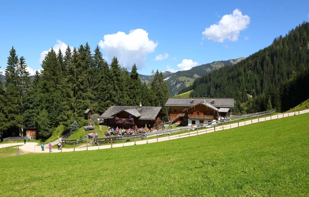 Großarl: Heugathalm