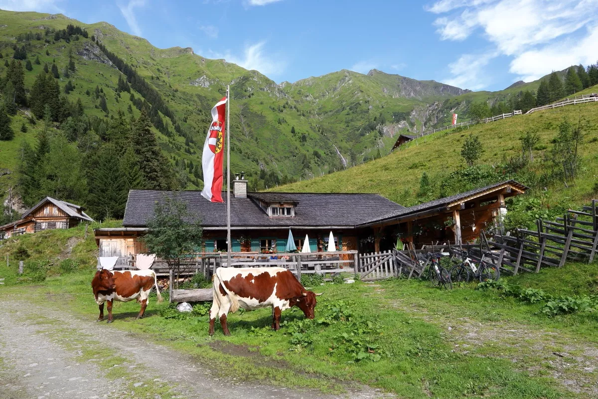 Hüttschlag: Kreealmen