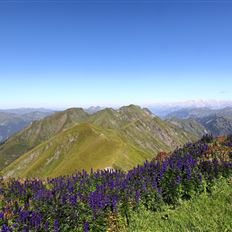 2-Tages Wanderung Gamskarkogel und Frauenkogel