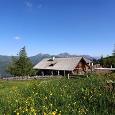 Großarl: Bichlalm