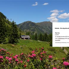 Hüttschlag: Hubalm - Hirschgrubenalm