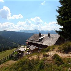 Großarl: Almenrunde im Ellmautal