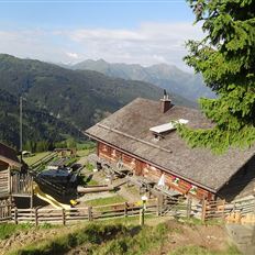 Großarl: Alpine pasture circuit in Ellmautal