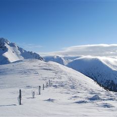 Großarl: Filzmooshörndl, 2,189 m