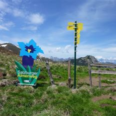 Grossarltal: 3-day hike via the Breitenebenalm and Ellmaualm to the Draugsteinalmen