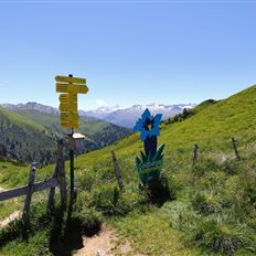 Grossarl: Bichlalm - Remsteinkopf - Filzmooshöhe - Filzmoosalm