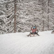 Rodelbahn beim Berggasthof Loosbühelalm