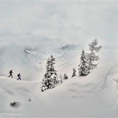 Panorama Schneeschuhweg