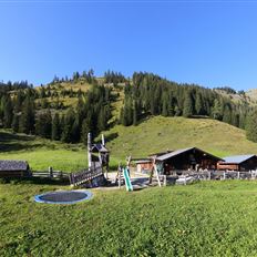 Großarl: Unterwandalm - Karseggalm - Breitenebenalm