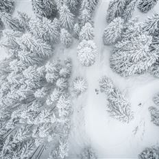 Snowshoe hike: Hirschgrubenalm