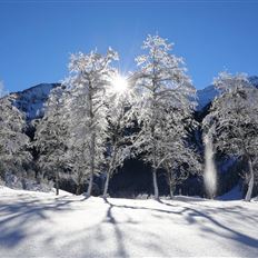 Hüttschlag: Hirschgrubenalm