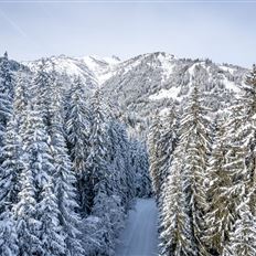 Grossarl: Winter hiking and tobogganing fun at the Hotel Lammwirt