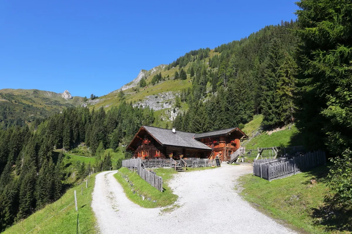 Großarl: Mooslehenalm - Viehhausalm - Niggeltalalm