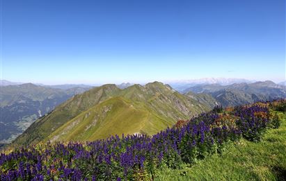 2-Tages Wanderung Gamskarkogel und Frauenkogel