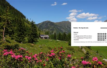 Hüttschlag: Hubalm - Hirschgrubenalm