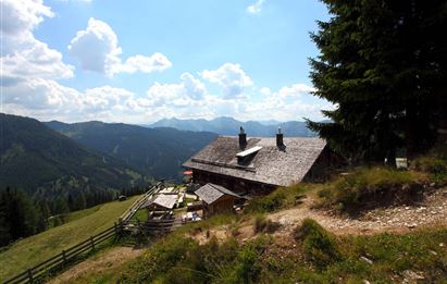 Großarl: Almenrunde im Ellmautal