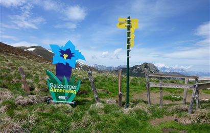 Großarltal: 3-Tages-Wanderung über die Breitenebenalm und Ellmaualm zu den Draugsteinalmen