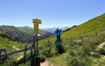 Grossarl: Bichlalm - Remsteinkopf - Filzmooshöhe - Filzmoosalm