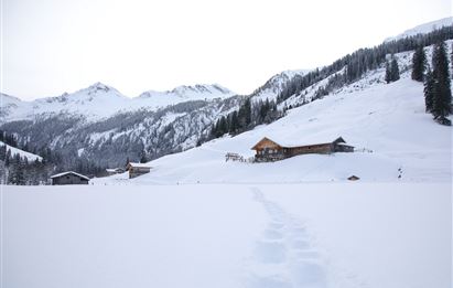 Hubalm im Winter