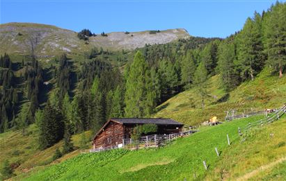 Großarl: Karseggalm