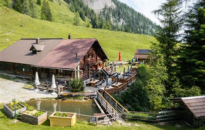 Großarl: Niggeltalalm (Igltalalm)