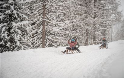 Toboggan run at the Loosbühelalm mountain inn
