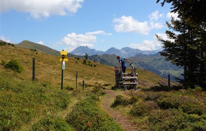 Großarl: Ellmaualm - Saukaralm - Gerstreitalm